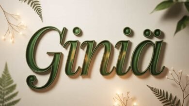 Giniä